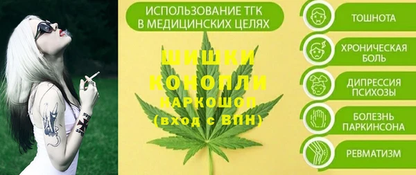 индика Богданович